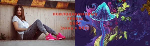 соль ск Аркадак