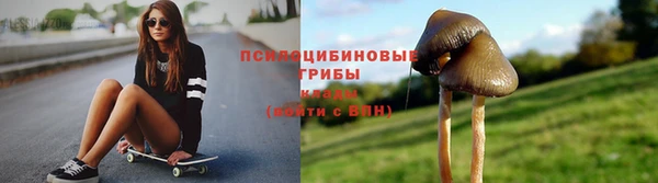 мяу мяу мука Арсеньев