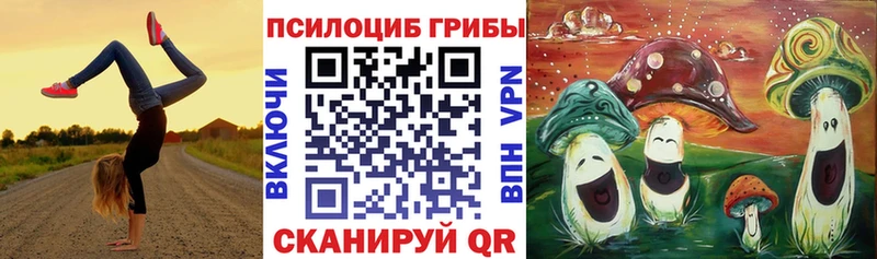 Псилоцибиновые грибы мицелий  купить  цена  Лобня 